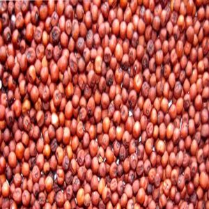 Finger millets