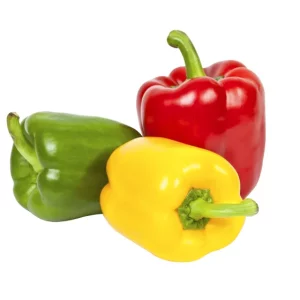 capsicum