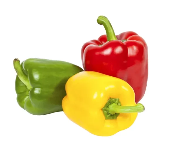 capsicum