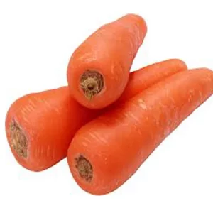 carrot