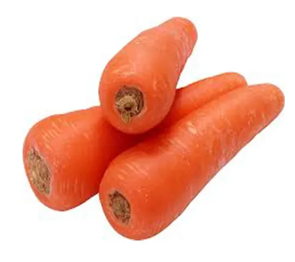 carrot