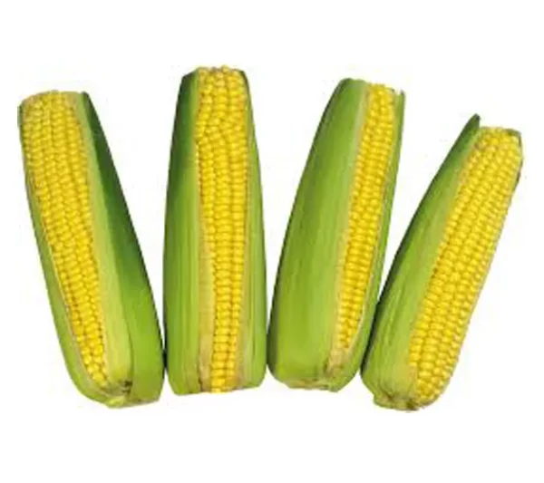 corn