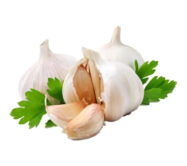 garlic